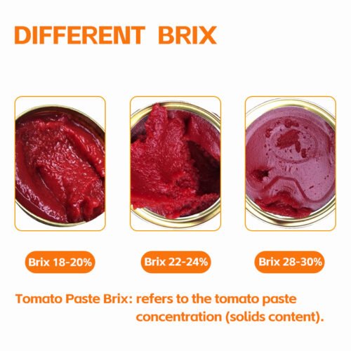 6-4.jpg 50g Tomato Paste Sachet Ketchup