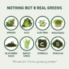 H87992e4a49ce4a17b6a0ae5eeb883d6eS.png_720x720q50.png Daily Greens Apple Flavor Gummies