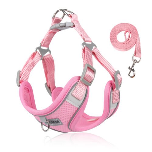 Summer Breathable Dog Harness Leash