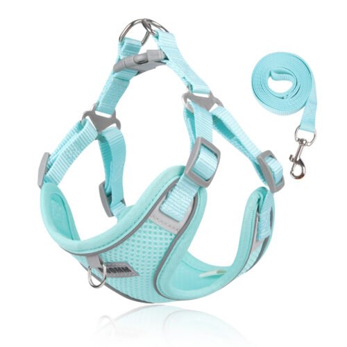 O1CN01nUYOtK28Fd4HP67ND_2580987903-0-cib.jpg Summer Breathable Dog Harness Leash